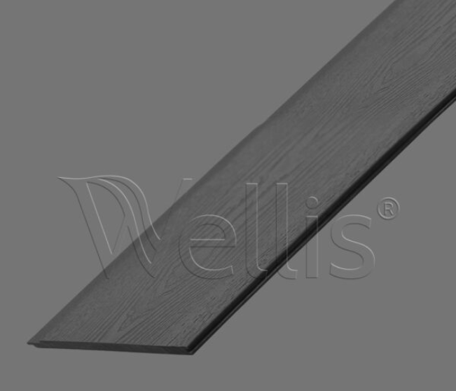Wellis Aussenverkleidung Horizontside Starside Panel 1920 