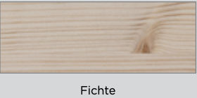 1 Fichte