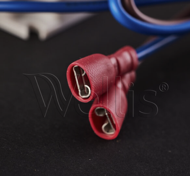 Wellis WIS Tranformator