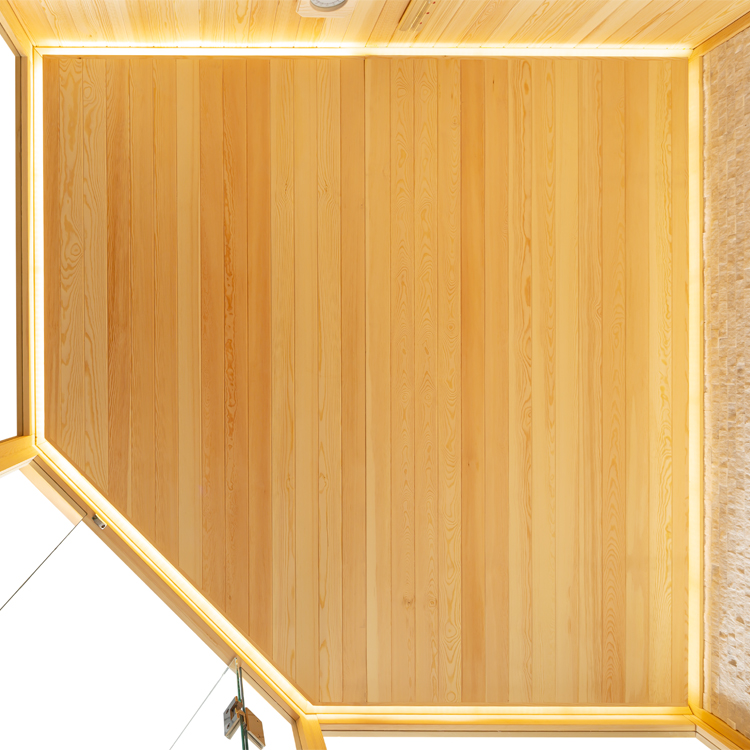 AWT E1816 A Pinienholz 220 x 220 x 210cm ohne Ofen