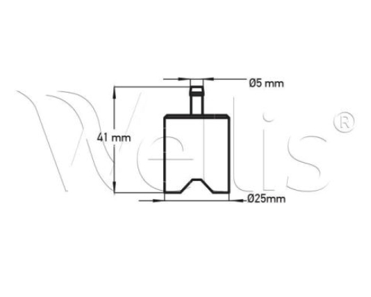 Wellis Fußventil für Dosiersystem