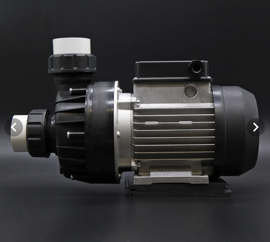 Wellis Zirkulationspumpe PCF100 1100W