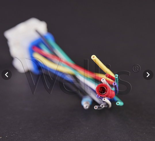 Wellis Aquatic Head Unit Anschluss