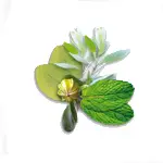 Camylle Voile de Sauna - Luxe