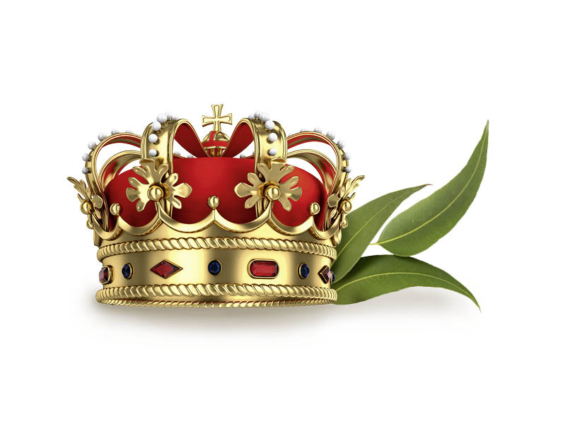 HARVIA Sauna-Duftkonzentrat Royal Eucament