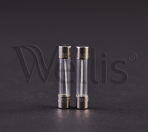 Wellis Sicherung 20A In.Y & In.X Gecko-Steuerungen