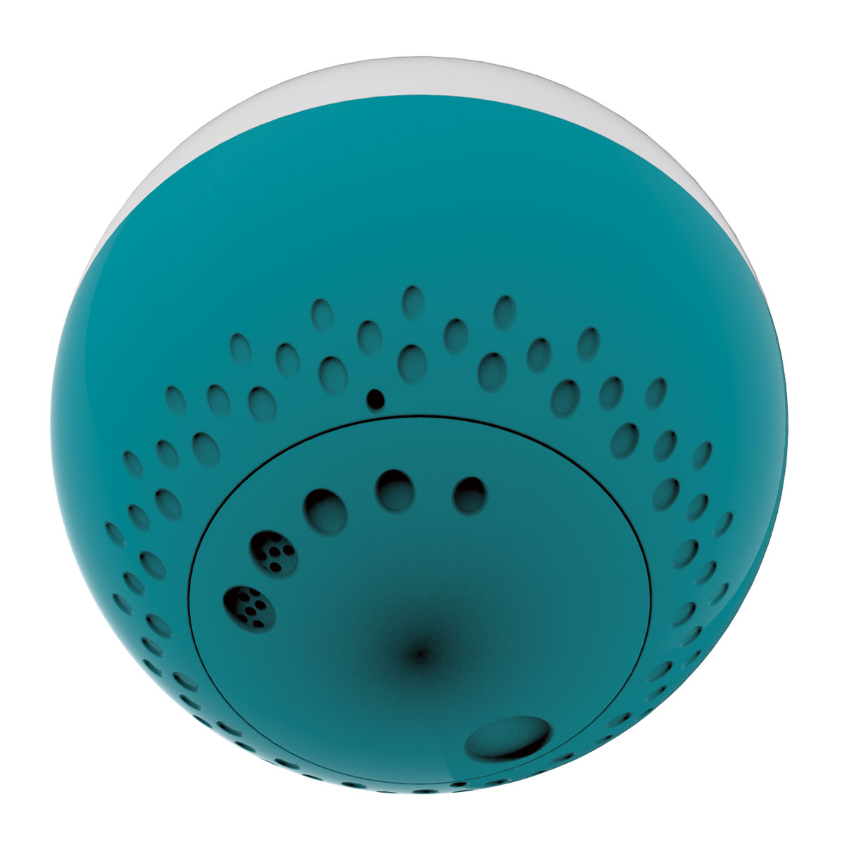 Bayrol Dosierschwimmer / Floating dosing dispenser