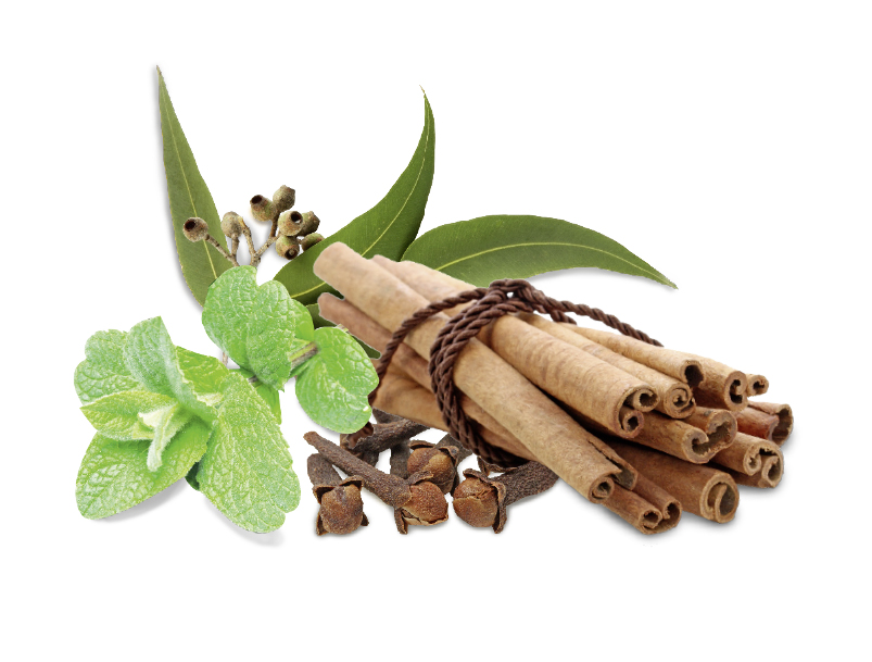 HARVIA Sauna-Duftkonzentrat Gewürzminze