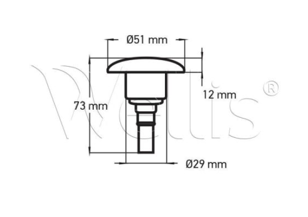 Wellis Düse 2" - 1 Loch transparent RD