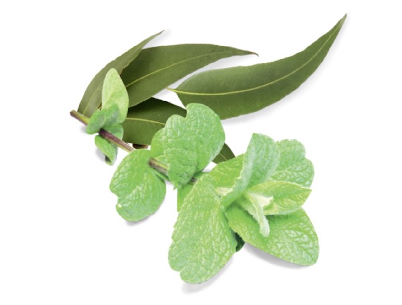 HARVIA Sauna Peelingsalz Eukalyptus Menthol