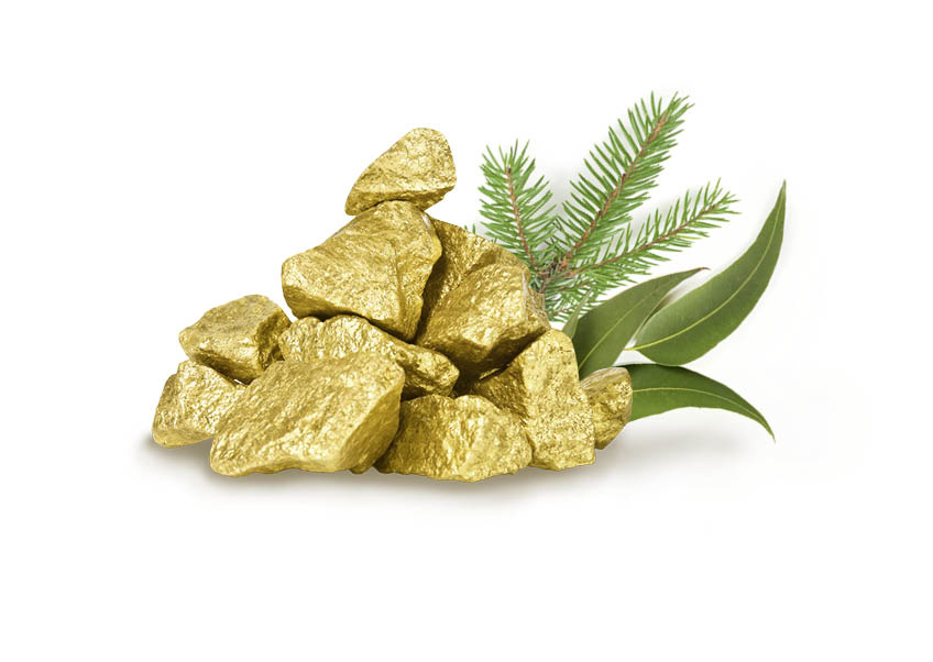 HARVIA Sauna-Duftkonzentrat Saunagold