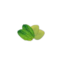 Camylle Velours de Spa - Eucalyptus / Menthe