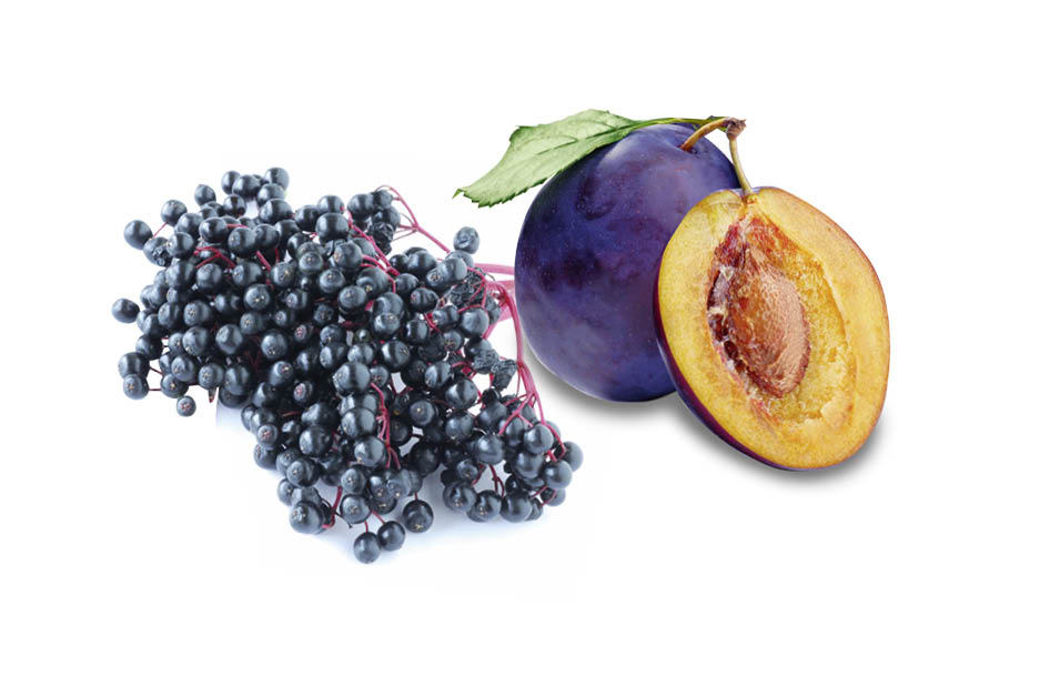 HARVIA Sauna-Duftkonzentrat Holunderbeere-Zwetschke