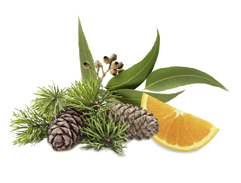 HARVIA Sauna-Duftkonzentrat Zeder-Euka-Orange