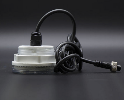 Wellis Steuergerät Balboa für Variopods (Magnetstrahl 75W)