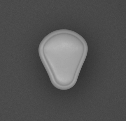 Wellis Ventilgiff neutral V2