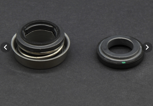 Wellis Dichtung für Hydromassagepumpe