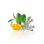 Camylle Voile de Sauna - Elinya